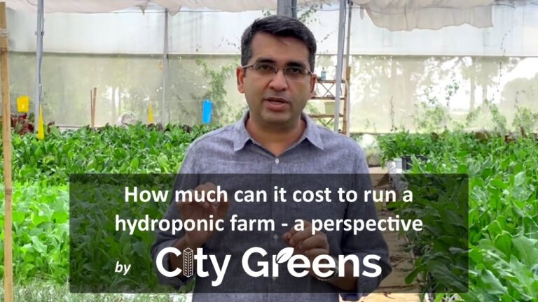 Cost to run a 1 acre Hydroponics farm in India. Monthly expenses incurred by hydroponic farmers.
