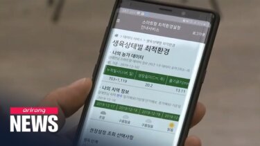 AIがもたらす韓国のスマート農業：収穫量は80％アップ、労働時間は半分に