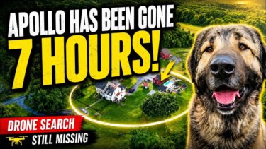 7時間も探し続けた犬の「Apollo」、最後にAndyの声で見つかった理由とは？
