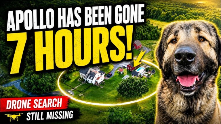 Apollo has been gone for 7 hours