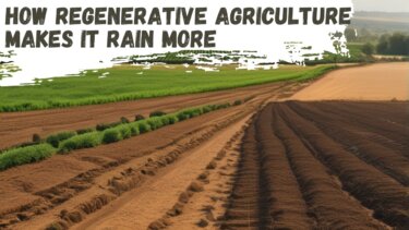 土壌の微生物が雨を増やす？再生型農業の驚きの効果