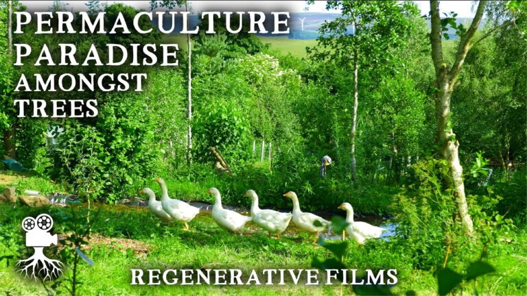 Beautiful 8 Acre Permaculture Farm Combines Trees, Livestock, and a Productive CSA Market Garden