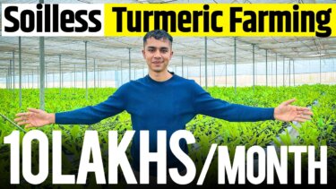 【1acreから1croreへ】水耕栽培で turmeric が爆発的な利益を生む理由