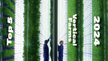2024年最も注目すべき5つの垂直農業事例とその実用性