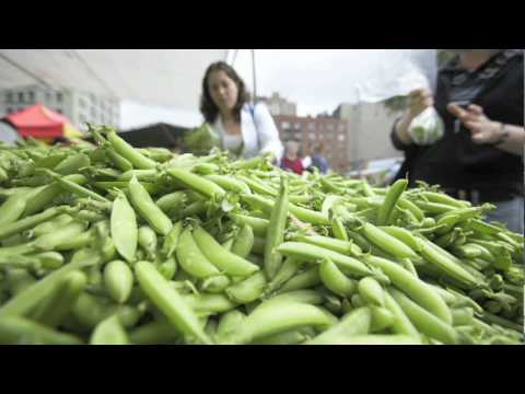 What is Sustainable Agriculture? | The New School