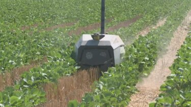 化学農薬を使わず農業を進化させる「ロボット農業」の新技術が注目