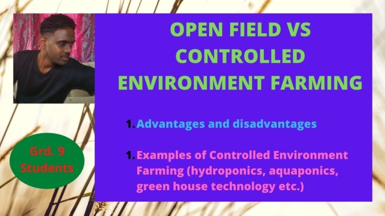 (Grade 9) Open field vs Controlled Environment Farming, Definitions, Advantages and Disadvantages