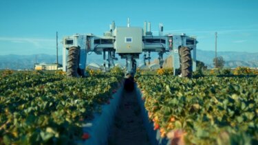 2030年までに実現する農業の自動化：ロボットがもたらす未来の収穫