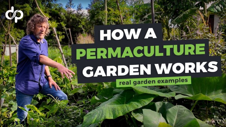 How a Permaculture Garden Works