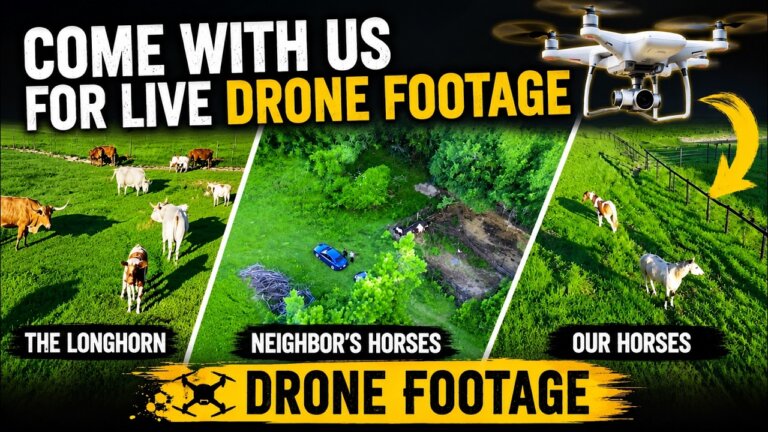 DRONE OVER JL RANCH LIVE