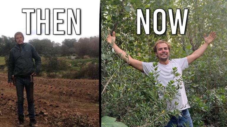 I planted 160.000 trees on my Portugal Homestead