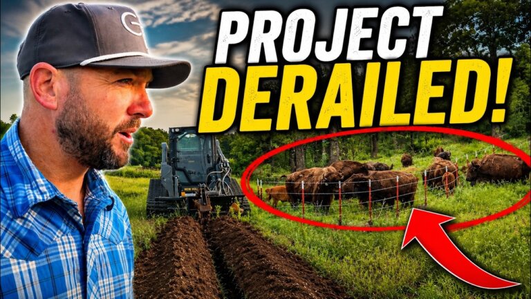We Started a Ranch Project...Then This Happened!