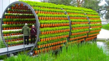 【300万再生】世界の驚きの農業技術が日本で使える？家庭菜園に活かせる5つのアイデア