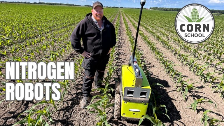 Can autonomous robots cut nitrogen use and boost corn yields? | Corn School
