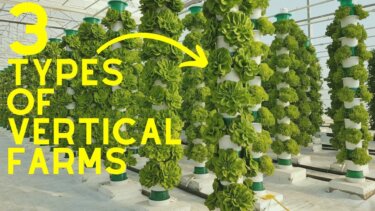 【話題】2024年最新！垂直農業の3つのタイプと家庭菜園への活用法