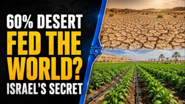水不足の国が創った農業革命：イスラエルの点滴灌漑技術が世界を変えた理由