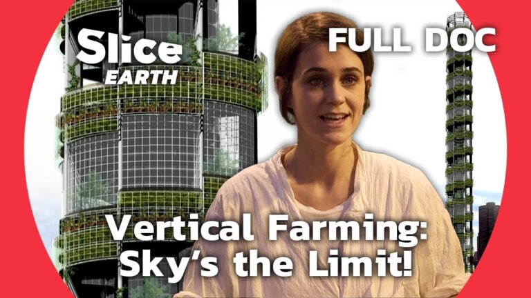 Feeding the Future: The Pros & Cons of Vertical Farming | SLICE EARTH | FULL DOC