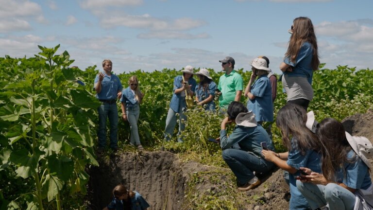 Minnesota Sustainable Farming | America's Heartland