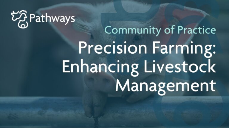 Precision Farming: Enhancing Livestock Management - Webinar | PATHWAYS