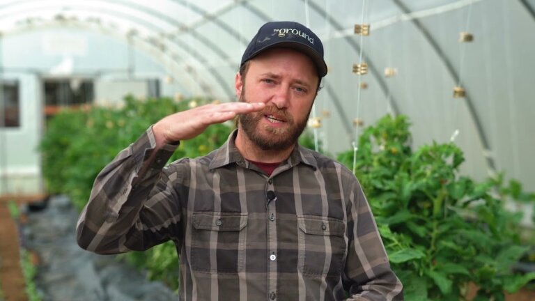 5 Principles of Regenerative Farming