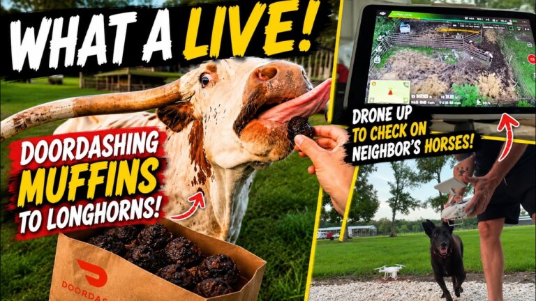 Afternoon LIVE with LONGHORN & DRONE