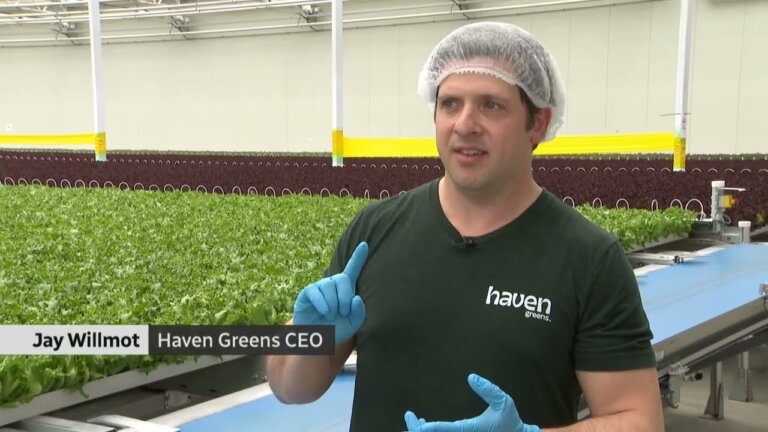 Canada’s First Fully Automated Greenhouse Will Blow Your Mind - Welcome to Haven Greens
