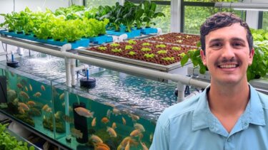 水耕と養殖を組み合わせるアクアポニックスの実践法：家庭菜園でも始められる環境共生農法