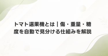 トマト選果機とは｜傷・重量・糖度を自動で見分ける仕組みを解説