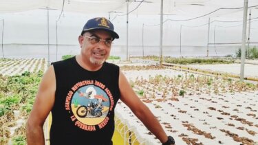水耕栽培が失敗する5つの理由と、成功するためのポイント