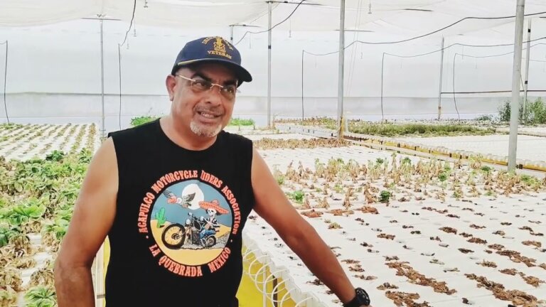 Why Hydroponics Farms Fail In India | Part 3 | See 6 Reasons In Description 👇