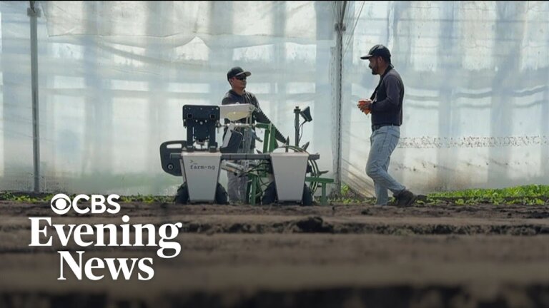 Farmers look to robots for field work as immigration raids upend labor