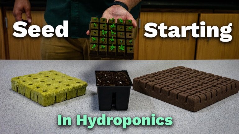 How to start seeds in Hydroponics