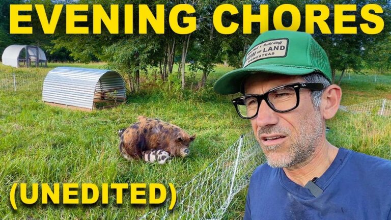 Real Life Farm Chore Routine on a Small Regenerative Farm