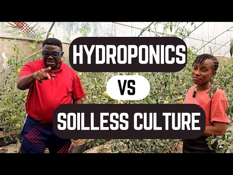Hydroponics vs. Soilless Farming in Nigeria...