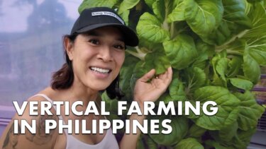 フィリピンで稼働する最大の垂直農業塔farm、実際の運用を徹底解説