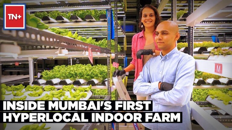 Meet The Couple Running Mumbai's First Hyperlocal Farm | Times Now Plus