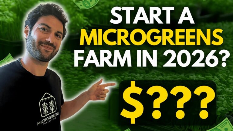 How Much Does It Really Cost To Start A Microgreens Business?