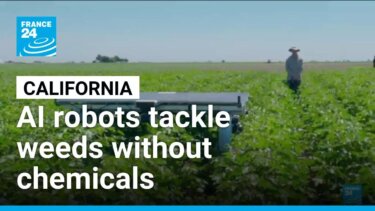 AIロボットが雑草駆除で化学薬品に代わる新技術が注目
