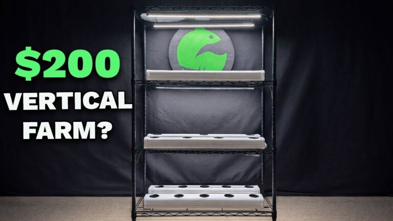 I Built a $200 Hydroponic Vertical Farm — Here’s What Happened
