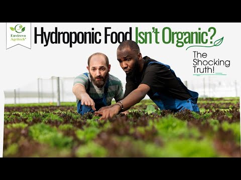 Is Organic Farming and Hydroponic Farming Same? The Shocking Truth!