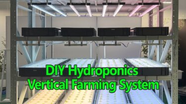 家庭菜園でもできる！水耕垂直農業のDIY手順とコストを徹底解説