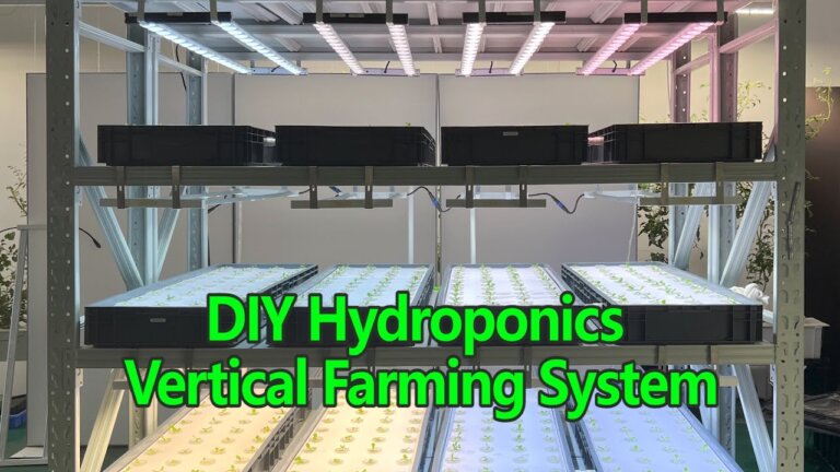 How to DIY Indoor Hydroponics Vertical Farming System