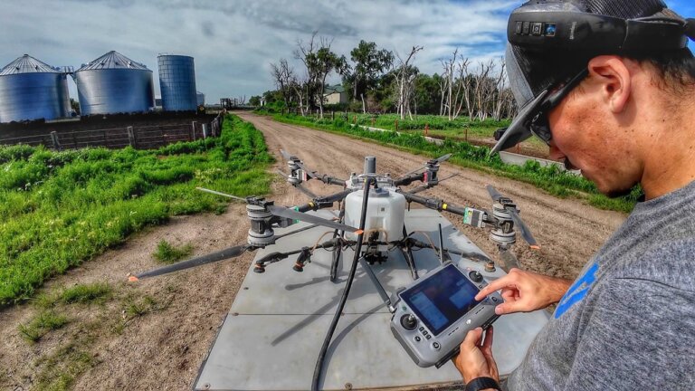 T100 Drone Spraying Our Sorghum