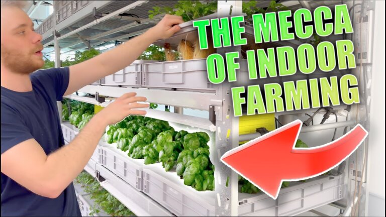 We Are Making The Mecca of Indoor Farming