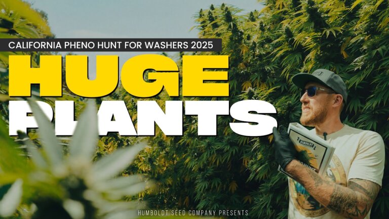 CALIFORNIA Roadtrip | Huge Farms, Friends & Giant Plants