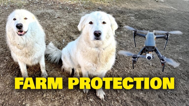 Livestock Guardian Drones to Protect Your Farm