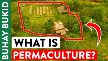 1530プランターで家庭菜園を始めよう｜パーマカルチャーの実践例
