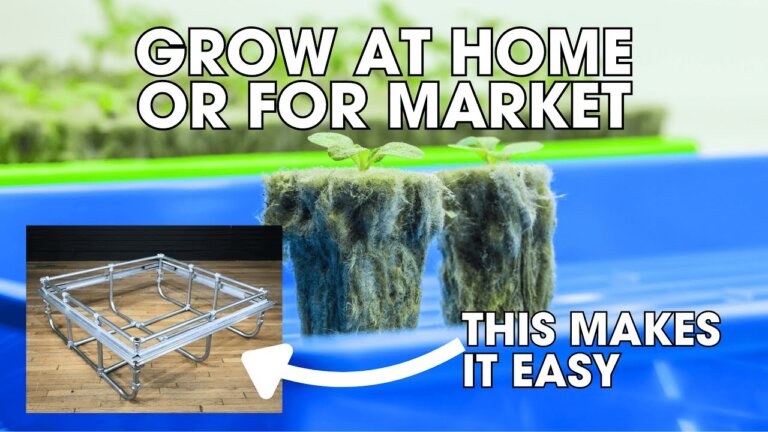 DWC Hydroponics for Beginners: Easy Set-Up and Profitable | Complete Bootstrap Farmer Webinar