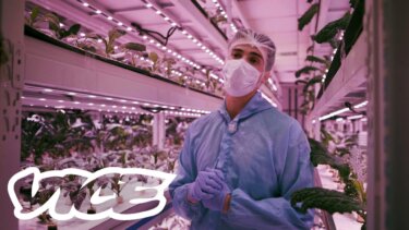 垂直農業が日本の食料問題を解決できるのか？家庭菜園に学ぶ新技術