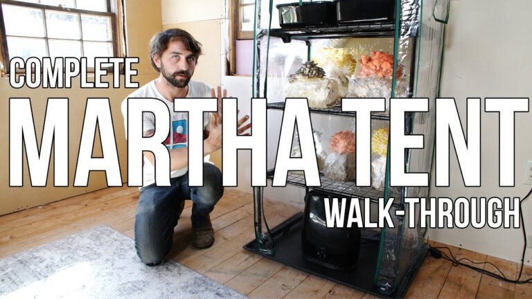 Complete Martha Grow Tent Setup & Maintenance Walk-Through | Build a DIY Mushroom Fruiting Chamber
